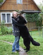 Превью фото № 134101