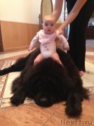 Превью фото № 134155