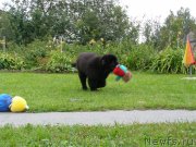 Превью фото № 134164