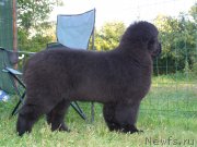 Превью фото № 134167