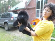 Превью фото № 134226