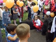 Превью фото № 134365