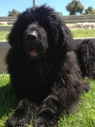 Превью фото № 134371