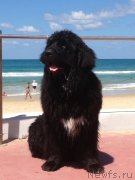 Превью фото № 134372