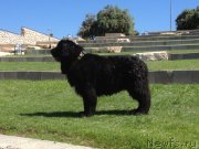 Превью фото № 134373