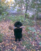 Превью фото № 134421