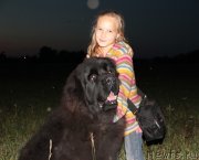 Превью фото № 134435