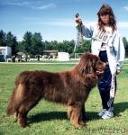 Превью фото № 13444