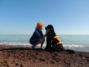 Превью фото № 134442