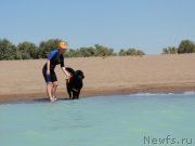 Превью фото № 134450