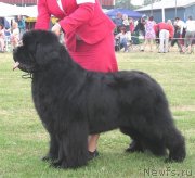 Превью фото № 134461