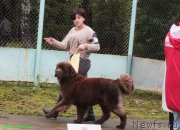 Превью фото № 134500