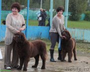 Превью фото № 134514