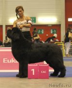 Превью фото № 134532