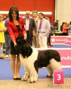 Превью фото № 134549