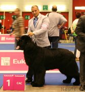 Превью фото № 134550