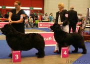 Превью фото № 134552