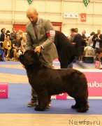 Превью фото № 134553