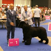 Превью фото № 134554