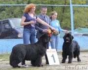 Превью фото № 134583