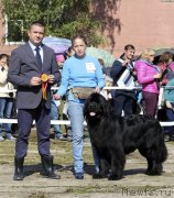 Превью фото № 134587