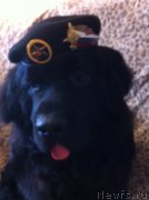 Превью фото № 134603