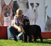 Превью фото № 134717