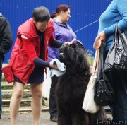 Превью фото № 134730