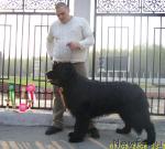 Превью фото № 13483