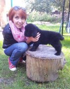 Превью фото № 134839