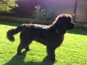 Превью фото № 134964