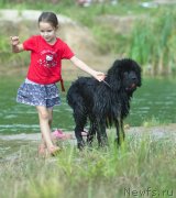 Превью фото № 134965