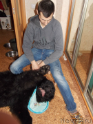 Превью фото № 134980