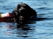 Превью фото № 135039