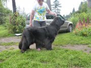 Превью фото № 135051