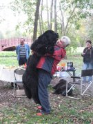 Превью фото № 135123