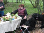 Превью фото № 135124