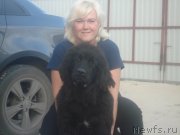 Превью фото № 135237