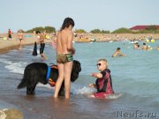 Превью фото № 135264