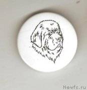 Превью фото № 135370