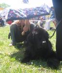 Превью фото № 13553