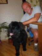 Превью фото № 135549