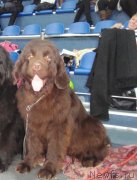 Превью фото № 135552