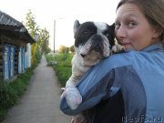 Превью фото № 135558