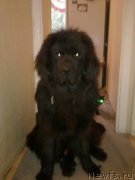 Превью фото № 135578