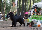 Превью фото № 135579