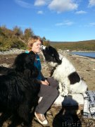 Превью фото № 135600