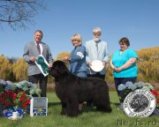 Превью фото № 135603