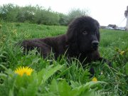 Превью фото № 135628