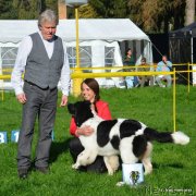 Превью фото № 135631